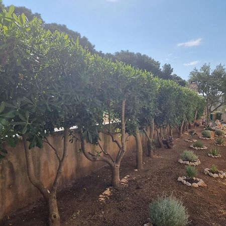 פובליאנה Apartmani Nena מראה חיצוני תמונה